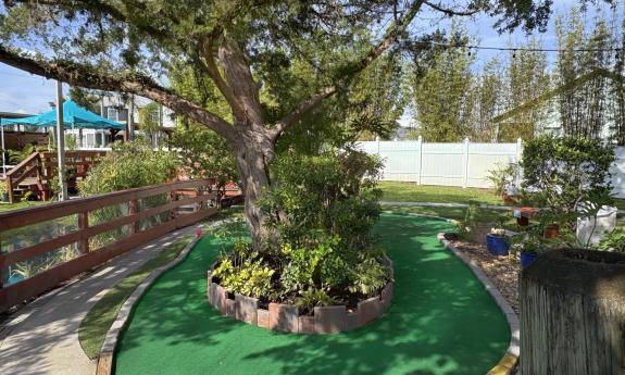 This mini golf hole has a mature tree in the middle