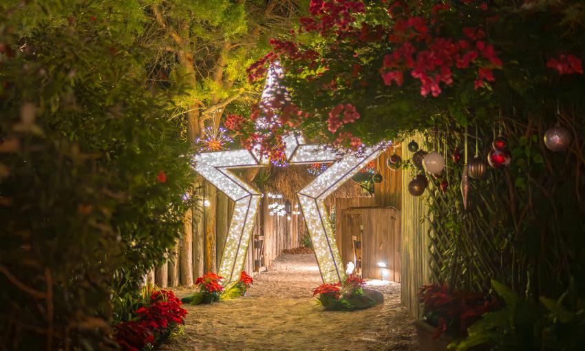 A walk-through star, covered in white lights along a rustic path
