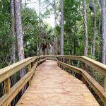 The Tolomato River Boardwalk